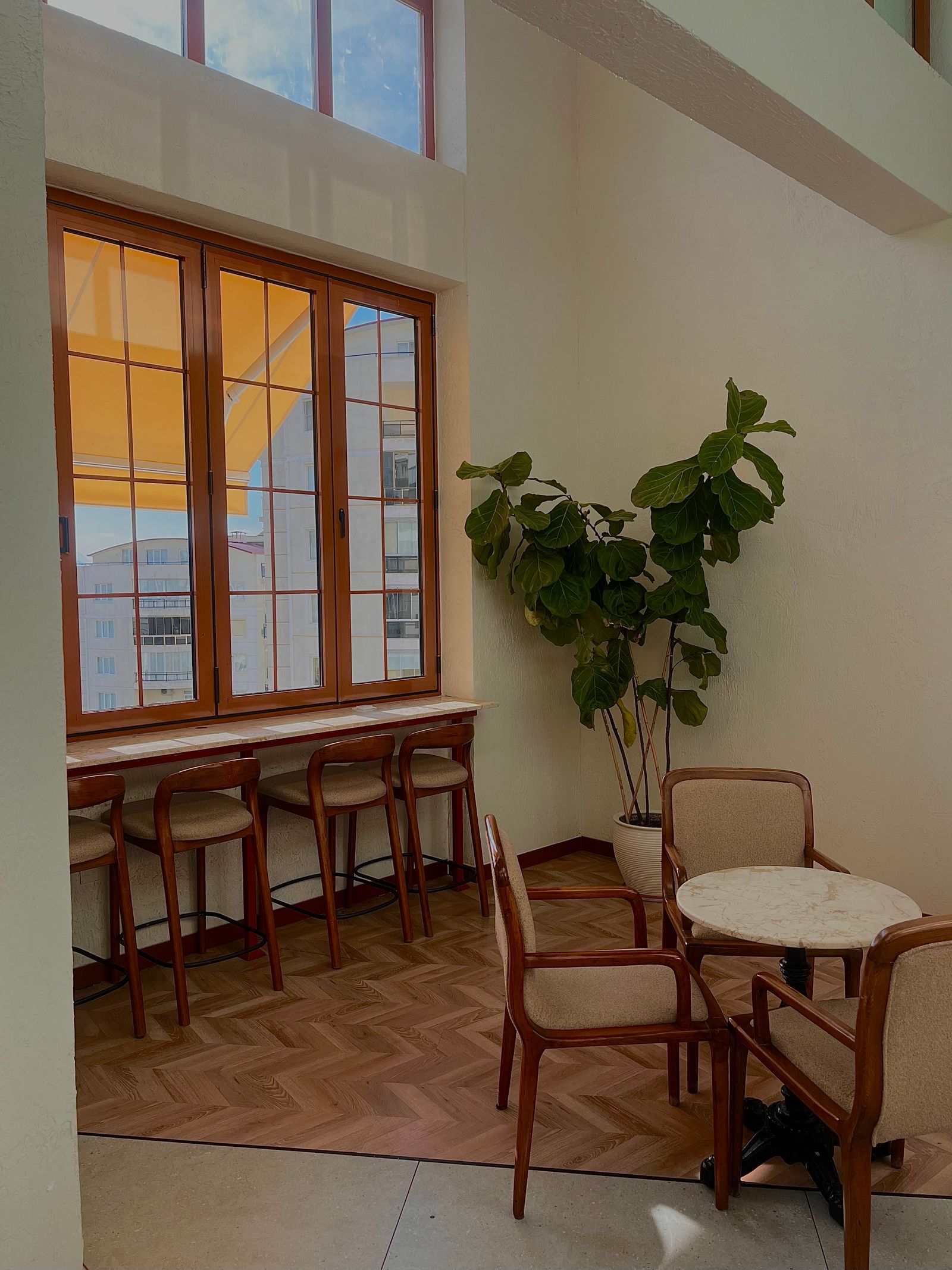 Warm, sunlit business interior with wooden furniture and plants